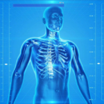 Debunking the Myths of Regenerative Medicine: What’s Fact and What’s Fiction?